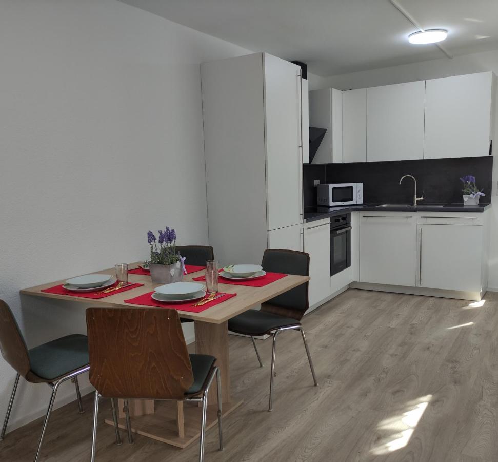 2 Zimmerwohnung In Bietingen Gottmadingen Dış mekan fotoğraf